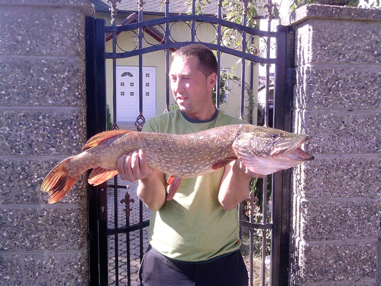 fishing - P011011_13.09.jpg